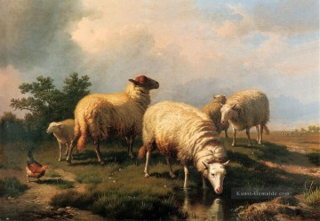 Schaf und ein Huhn in einer Landschaft Eugene Verboeckhoven Tier Ölgemälde